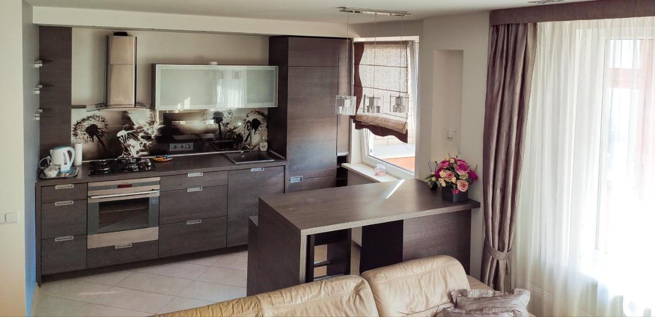 Nikoletos Apartamentai Panevėžys エクステリア 写真