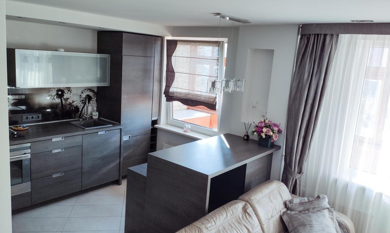 Nikoletos Apartamentai Panevėžys エクステリア 写真