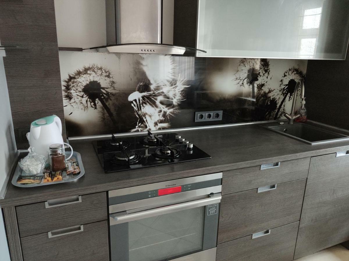 Nikoletos Apartamentai Panevėžys エクステリア 写真