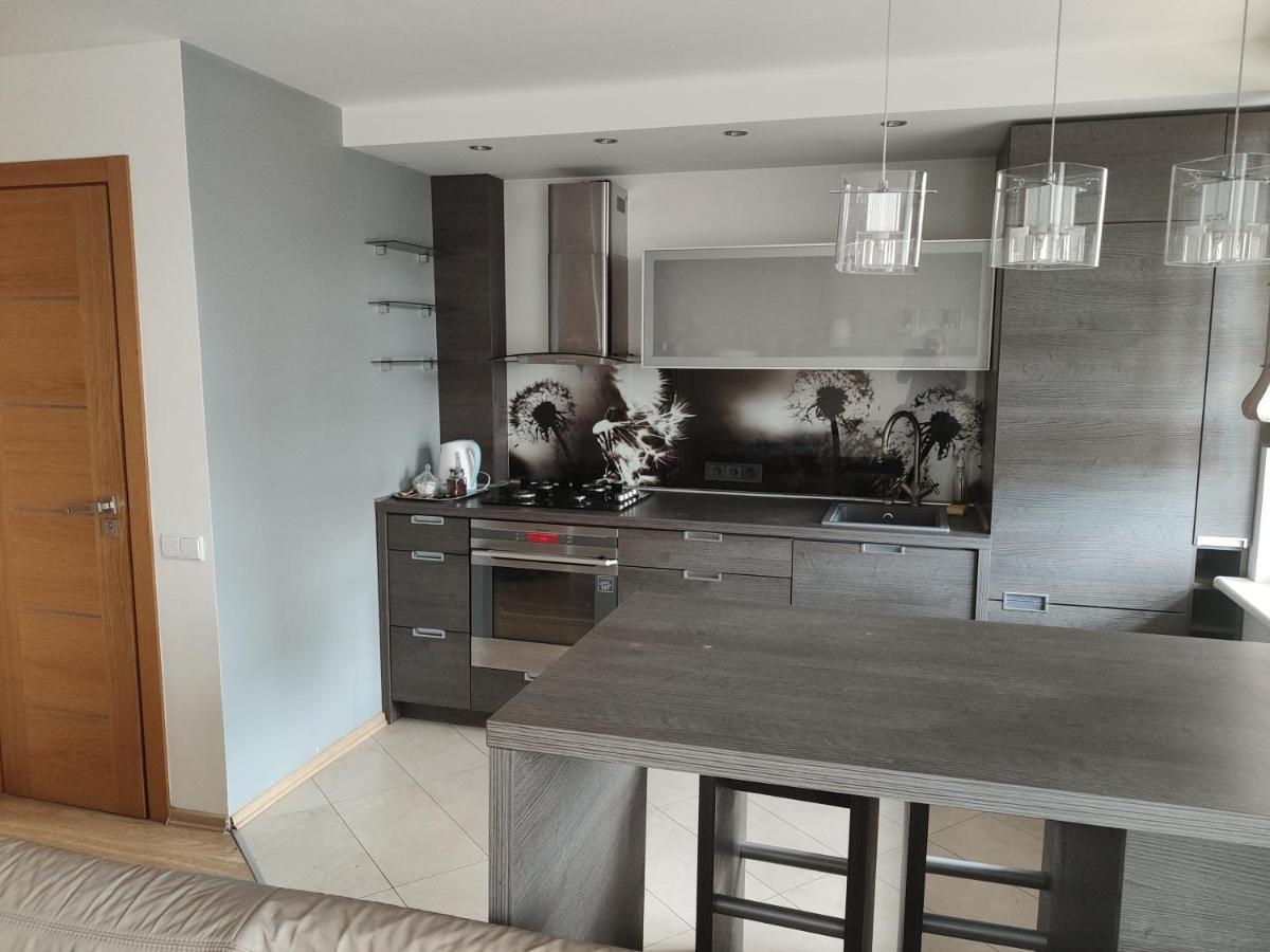 Nikoletos Apartamentai Panevėžys エクステリア 写真